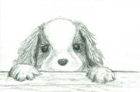Puppy dog eyes